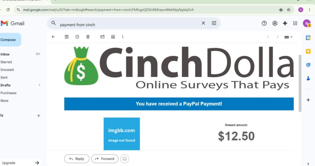 cinch dollars paypal payment proof
