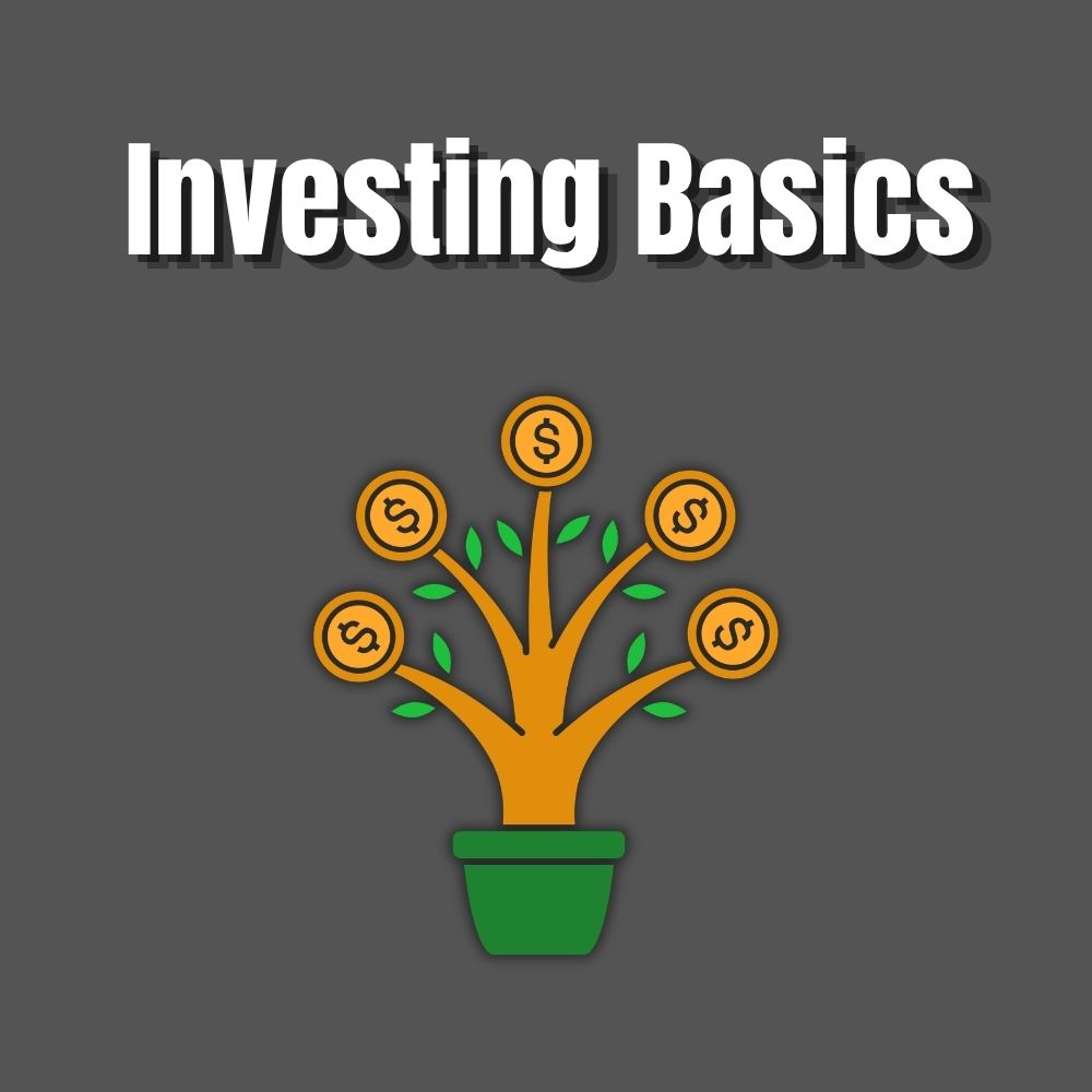 investing south africa basics