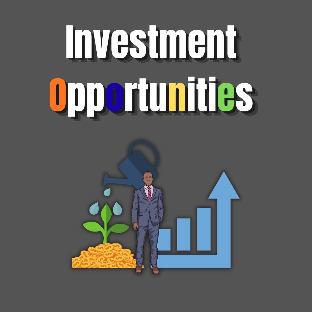 investment opportunities