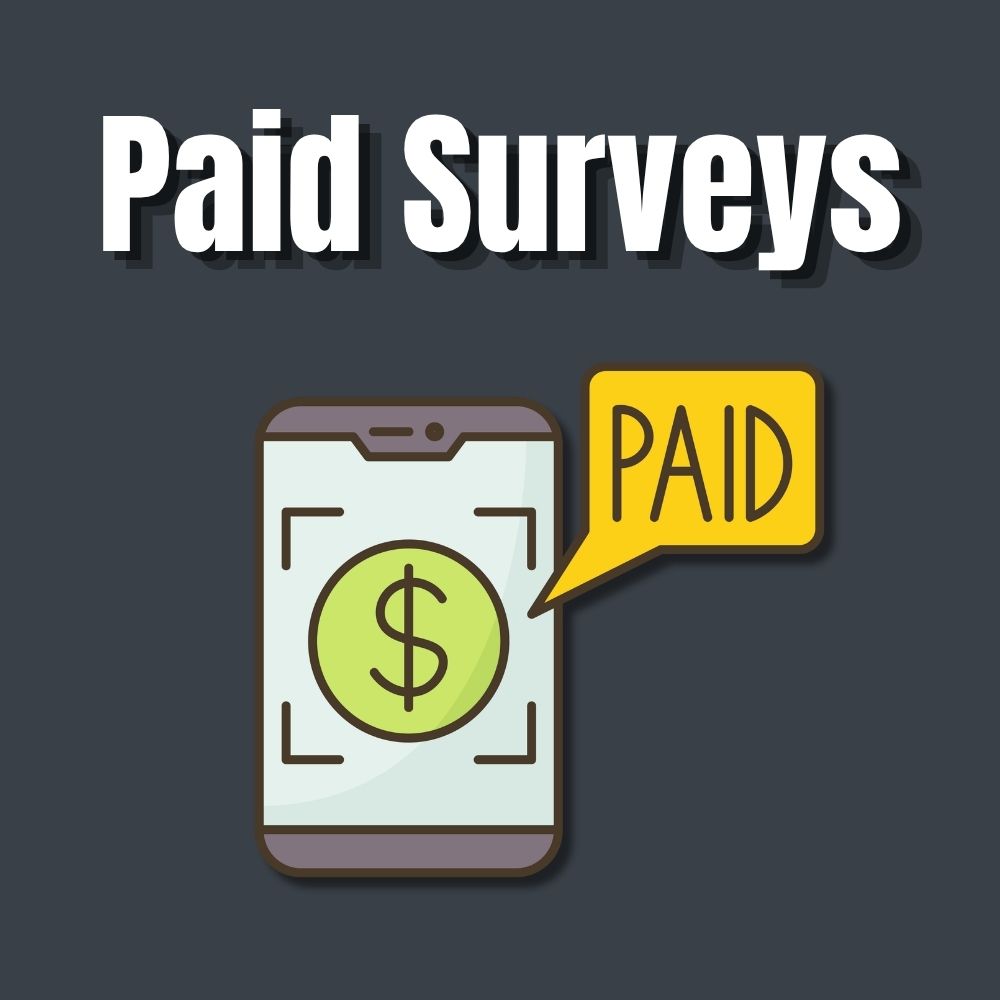 paid surveys and online rewards
