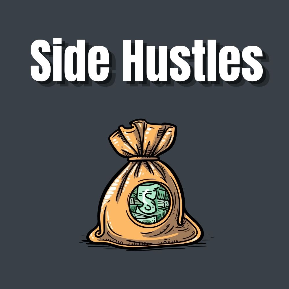 raven financial lessons online income
